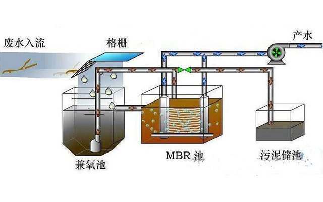 生物法